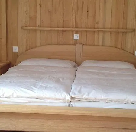 Hotel City 3* Tasch